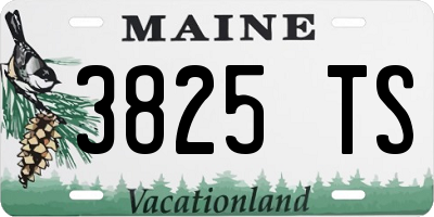 ME license plate 3825TS