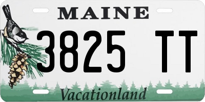 ME license plate 3825TT