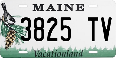 ME license plate 3825TV