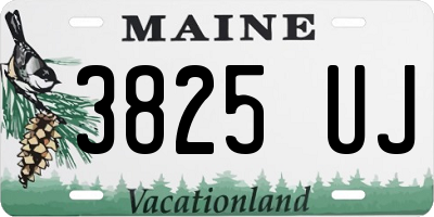 ME license plate 3825UJ