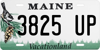 ME license plate 3825UP