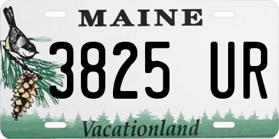 ME license plate 3825UR