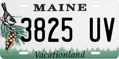 ME license plate 3825UV