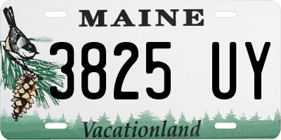 ME license plate 3825UY