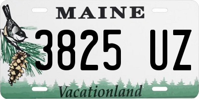 ME license plate 3825UZ