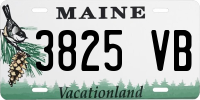 ME license plate 3825VB