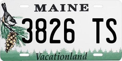 ME license plate 3826TS
