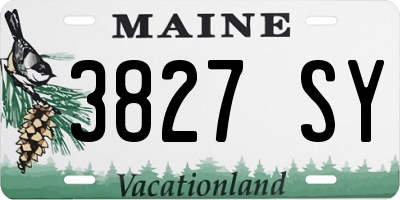 ME license plate 3827SY