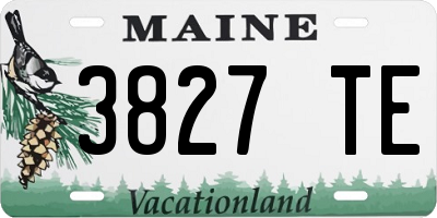 ME license plate 3827TE