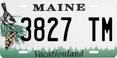 ME license plate 3827TM