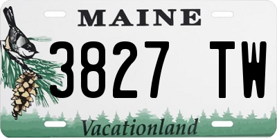 ME license plate 3827TW