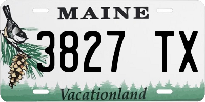 ME license plate 3827TX