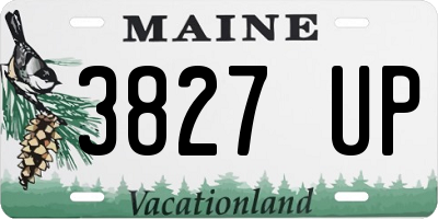 ME license plate 3827UP