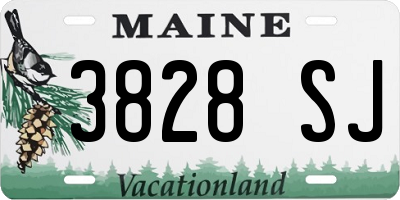 ME license plate 3828SJ