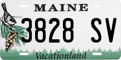 ME license plate 3828SV