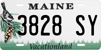 ME license plate 3828SY