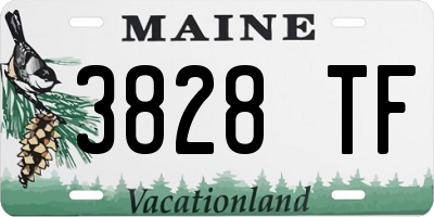 ME license plate 3828TF
