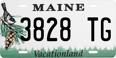 ME license plate 3828TG