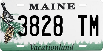 ME license plate 3828TM