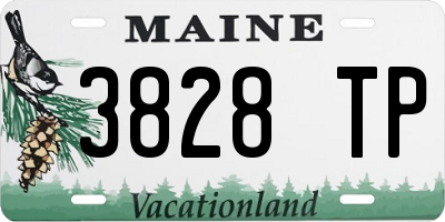 ME license plate 3828TP