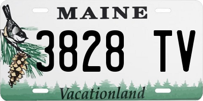 ME license plate 3828TV