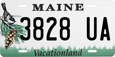 ME license plate 3828UA