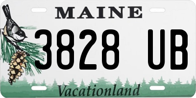 ME license plate 3828UB