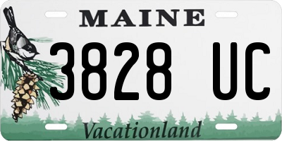 ME license plate 3828UC