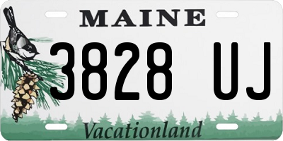 ME license plate 3828UJ