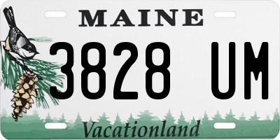 ME license plate 3828UM