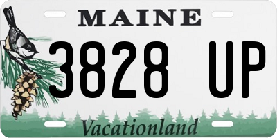 ME license plate 3828UP
