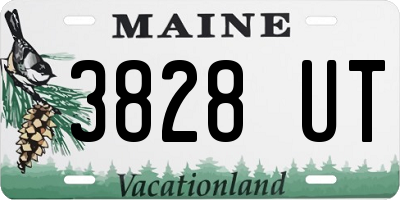 ME license plate 3828UT