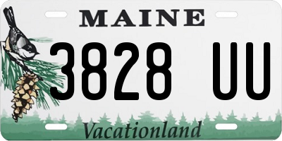 ME license plate 3828UU