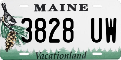 ME license plate 3828UW