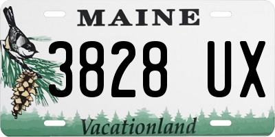 ME license plate 3828UX