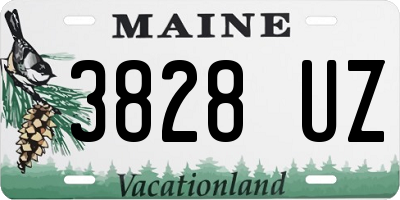 ME license plate 3828UZ