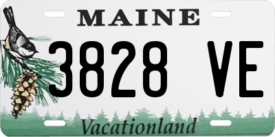 ME license plate 3828VE