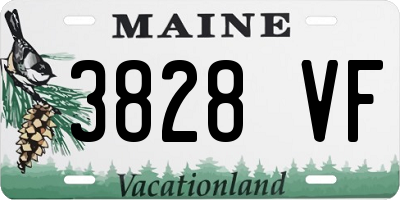 ME license plate 3828VF