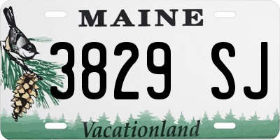 ME license plate 3829SJ