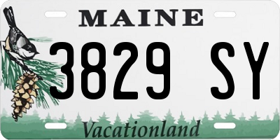 ME license plate 3829SY