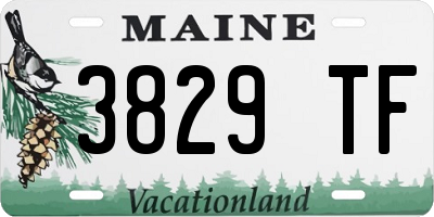 ME license plate 3829TF