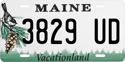 ME license plate 3829UD
