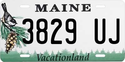 ME license plate 3829UJ
