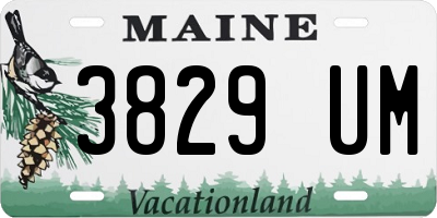 ME license plate 3829UM
