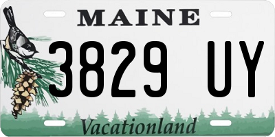 ME license plate 3829UY