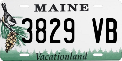 ME license plate 3829VB