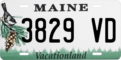 ME license plate 3829VD