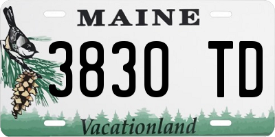 ME license plate 3830TD
