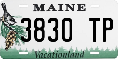 ME license plate 3830TP