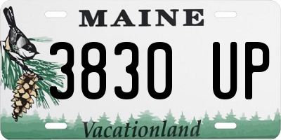 ME license plate 3830UP
